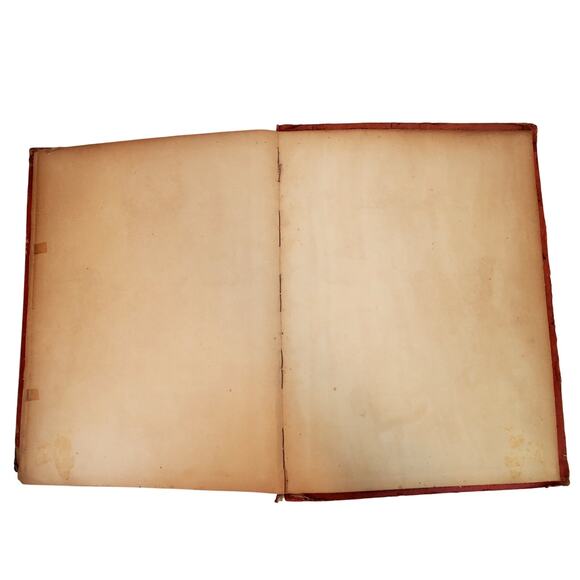 Vtg Junk Drawer Lot of Color Photos of Toddlers Children Animals Scrapbook - Picture 13 of 14